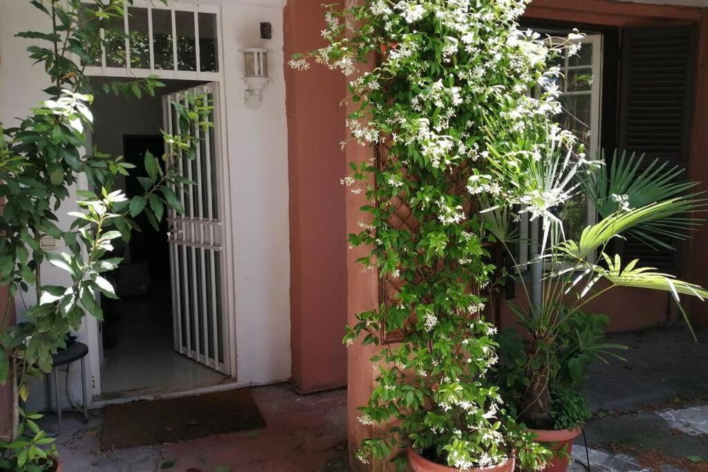Apartamento La Casa Della Mia Famiglia Roma Exterior foto